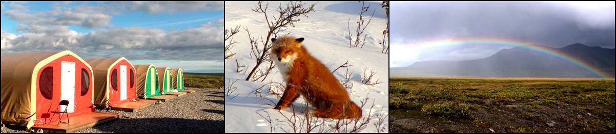 Photo Gallery Header